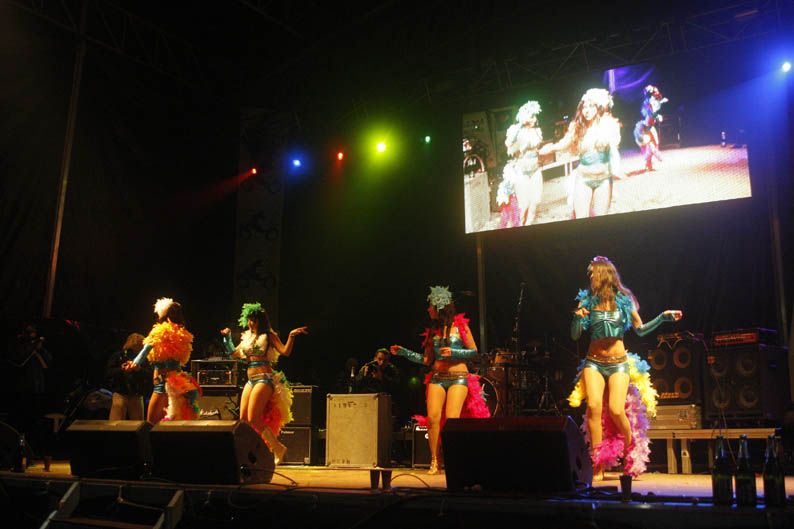 Pingüinos 2013