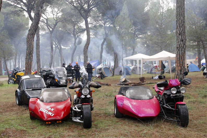 Pingüinos 2013
