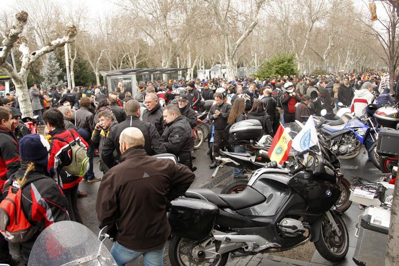 Pingüinos 2013
