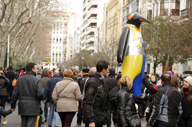 Pingüinos 2013