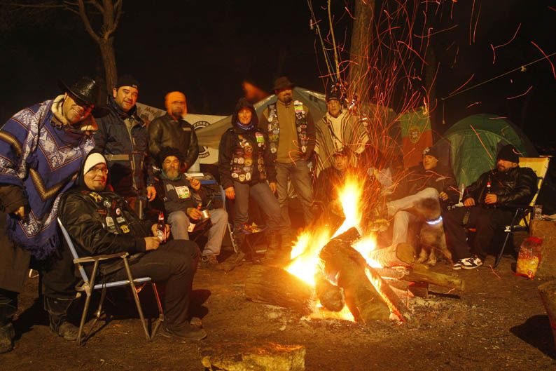 Pingüinos 2013