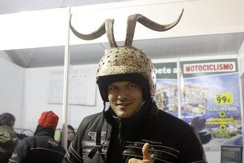 Pingüinos 2013
