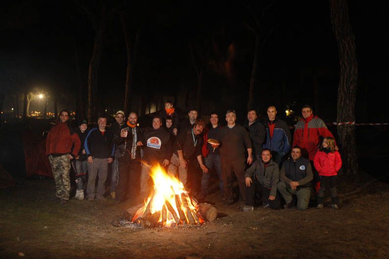 Pingüinos 2013