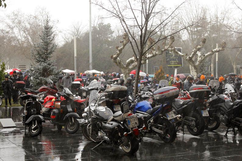 Pingüinos 2013