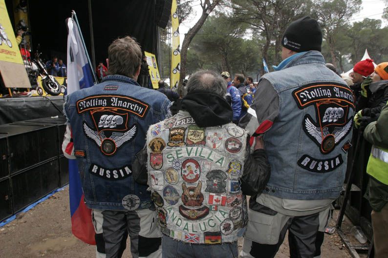 Pingüinos 2013