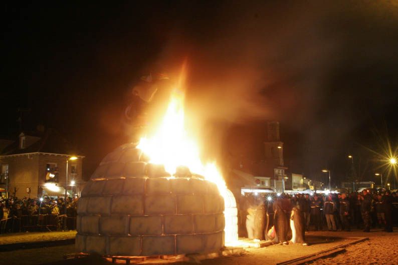 Pingüinos 2013