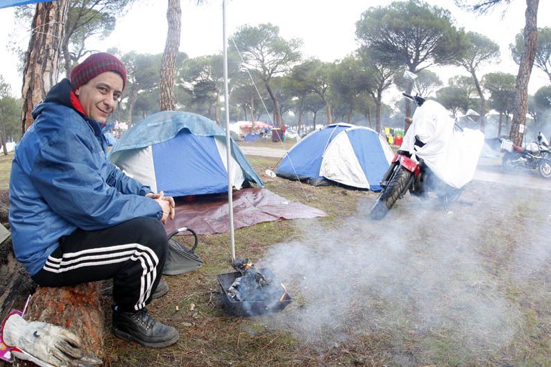 Pingüinos 2013