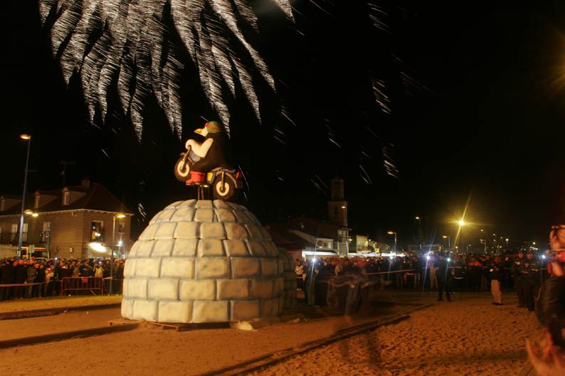 Pingüinos 2013