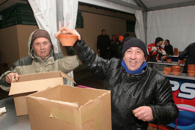 Pingüinos 2013