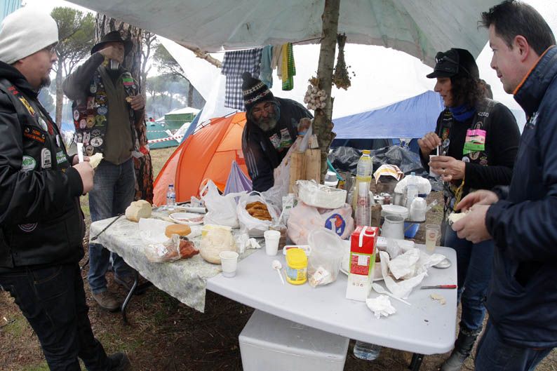Pingüinos 2013
