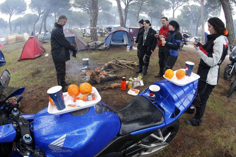 Pingüinos 2013