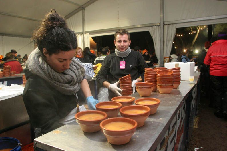 Pingüinos 2013