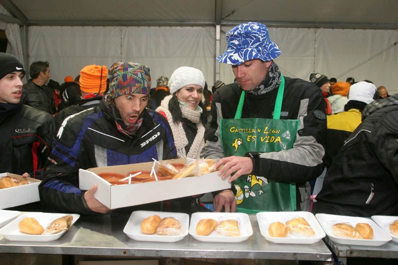 Pingüinos 2013