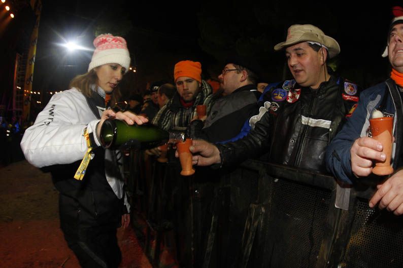 Pingüinos 2013