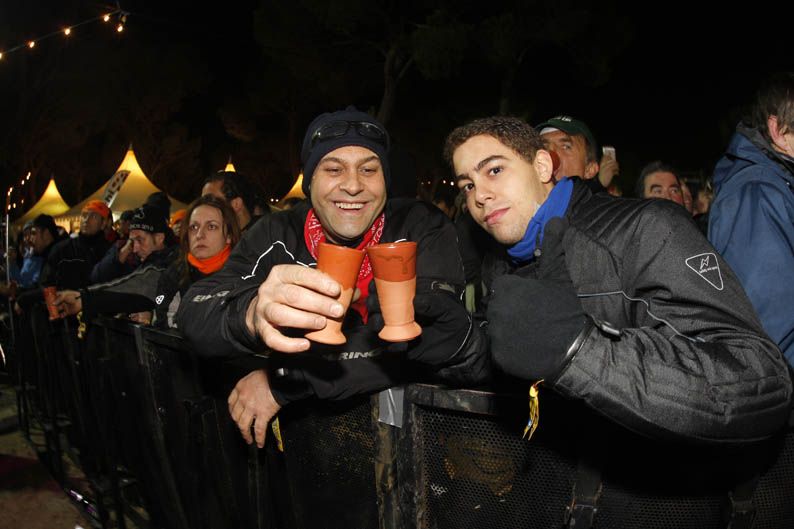 Pingüinos 2013