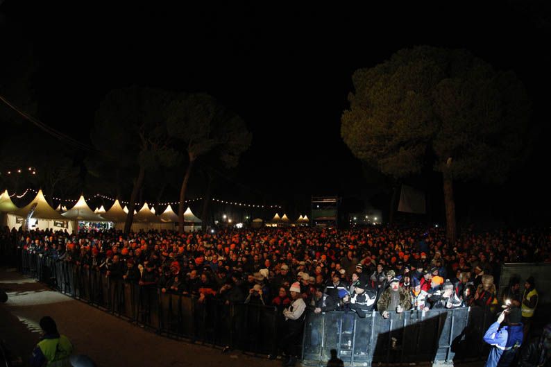 Pingüinos 2013