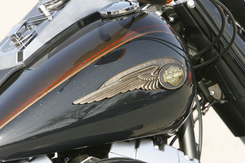 Harley-Davidson Fat Boy 110th Anniversary