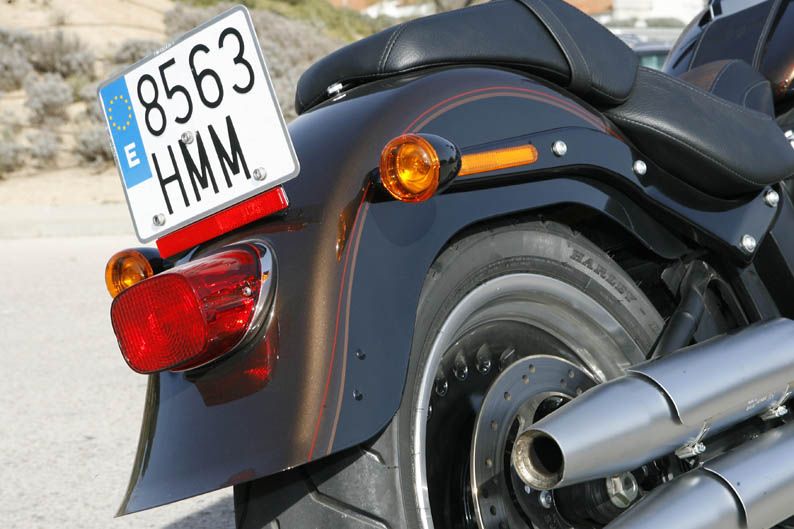 Harley-Davidson Fat Boy 110th Anniversary