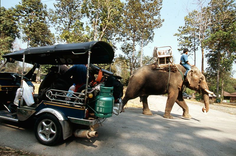 Tailandia en un triciclo