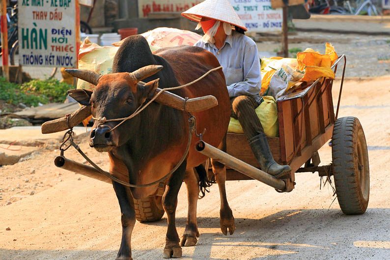Viajar en moto: Vietnam