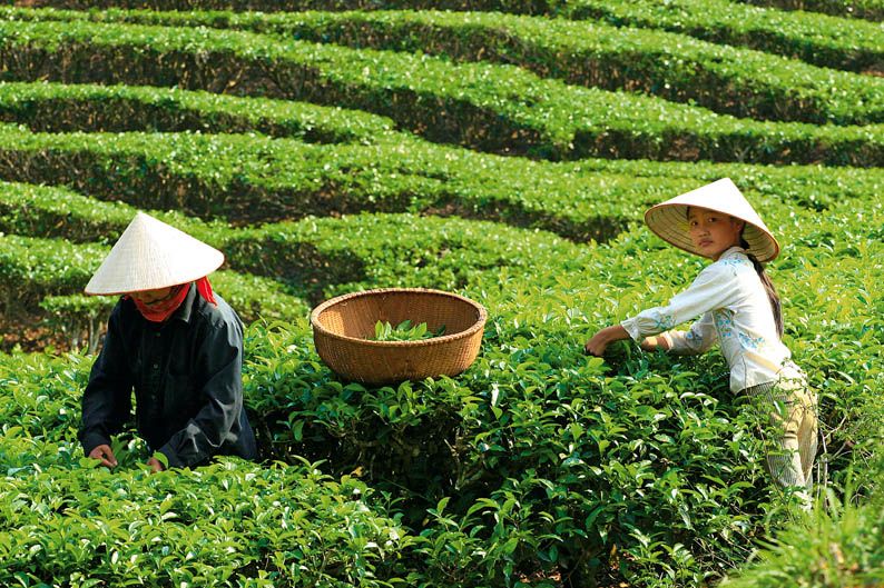 Viajar en moto: Vietnam