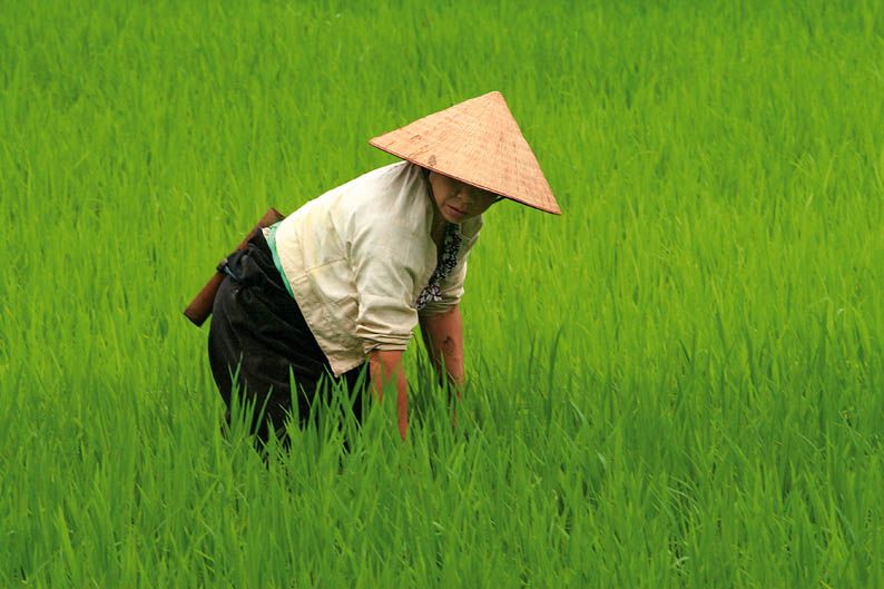 Viajar en moto: Vietnam