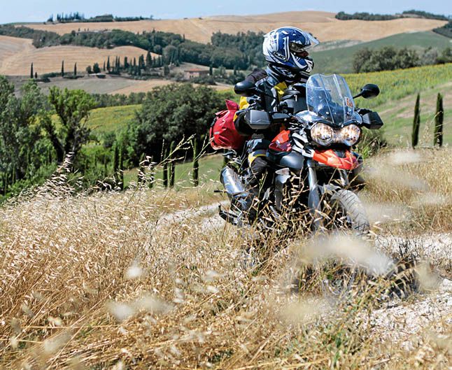 Triumph Tiger 800 XC ABS (3)