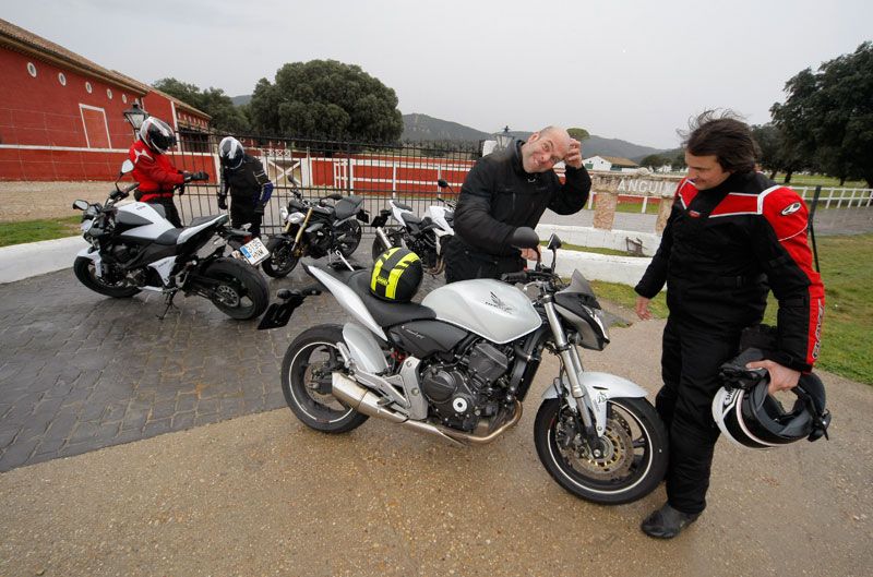 Comparativa naked: Honda, Kawasaki, Suzuki y Triumph
