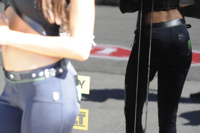 Las chicas del Gran Premio de San Marino. Galería de fotos
