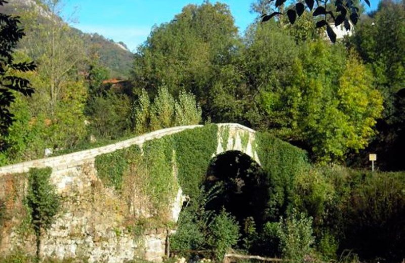 Turismo: Valle del Nalón y Rías Baixas