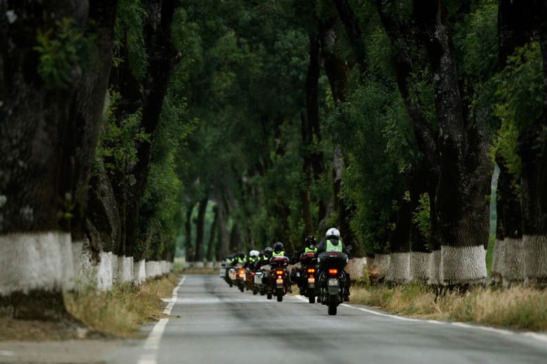 Rally Lés a Lés 2013. Galería de fotos
