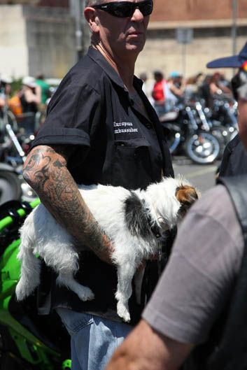 Barcelona Harley Days 2013