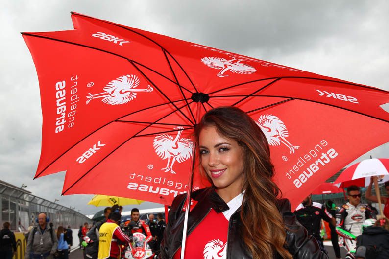 Las chicas del Mundial de SBK en Silverstone. Galería de fotos