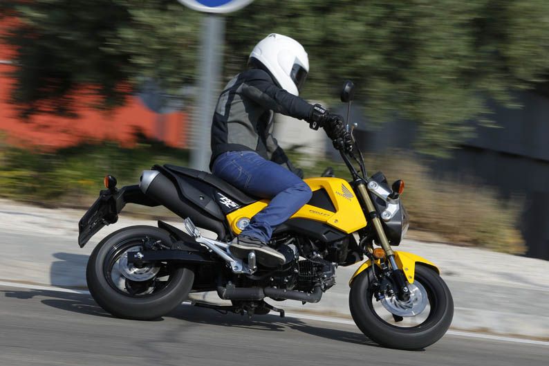 Honda MSX125. Galería de fotos