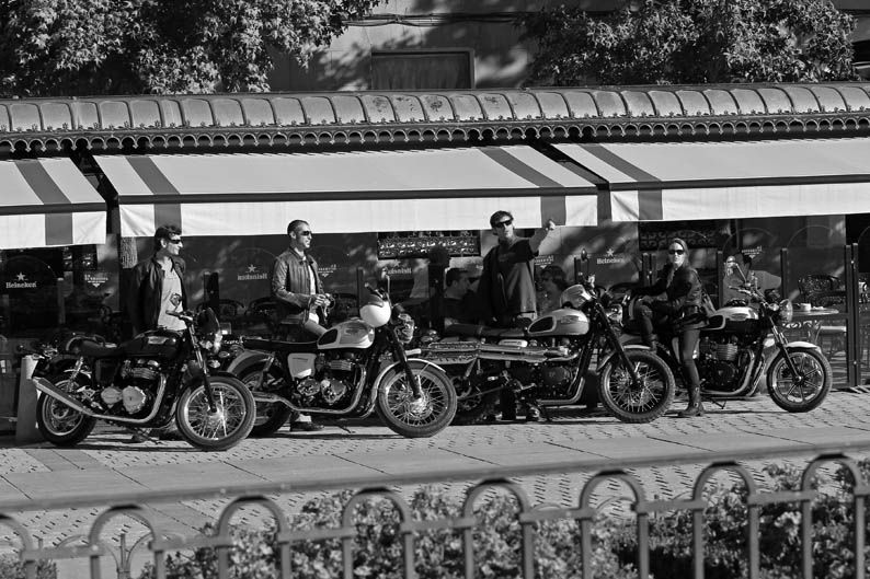 Triumph Classic 2014