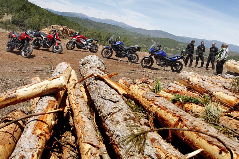 Comparativa Trail