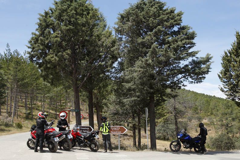 Comparativa Trail