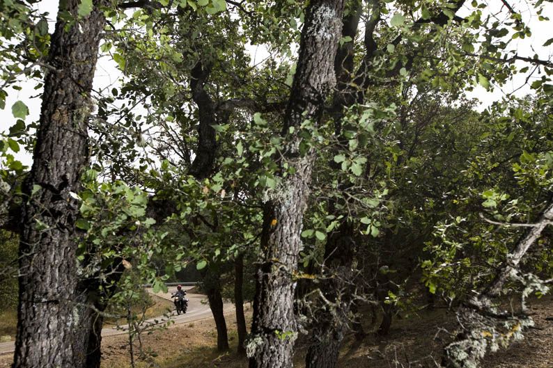 Ruta del Cid III. Galería de fotos