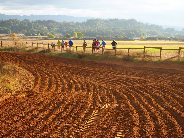 Curso Motocross Academy