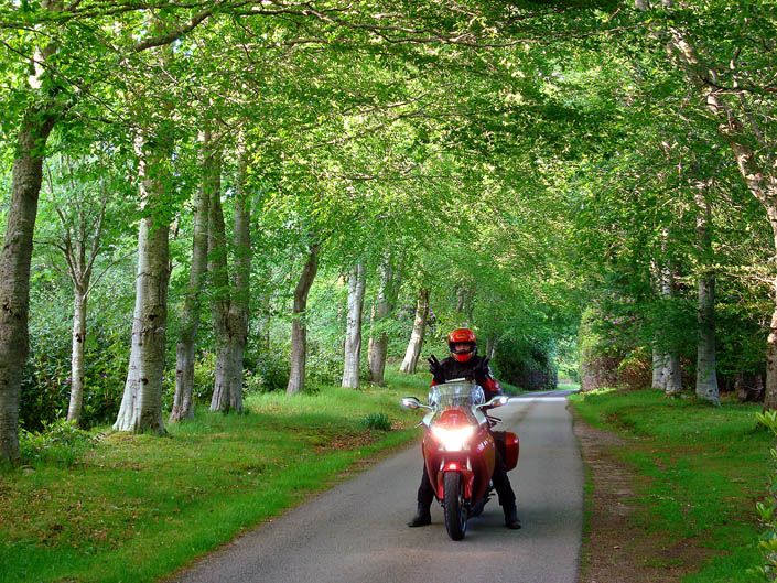 Objetivo 100.000: Honda VFR 1200F