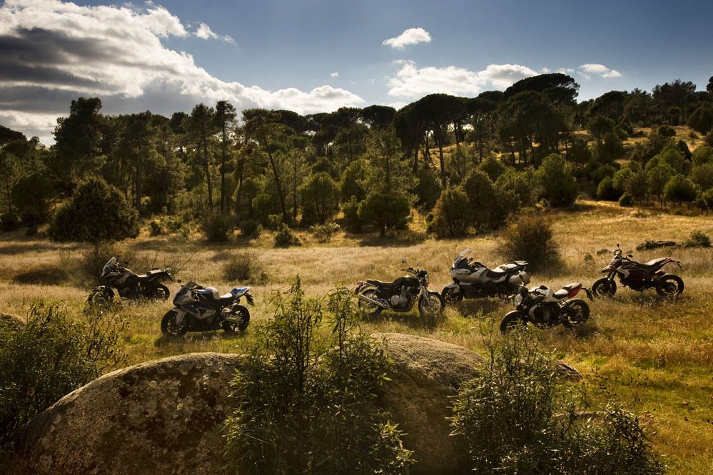 Nuestras favoritas de 2013. Galería de fotos