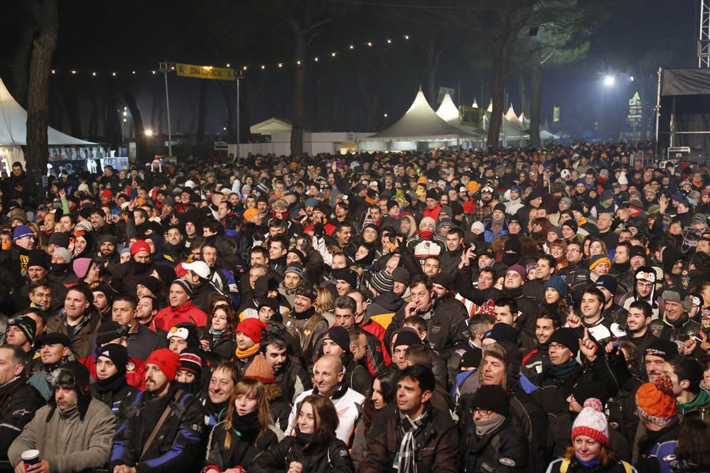 Pingüinos 2014. Galería de fotos