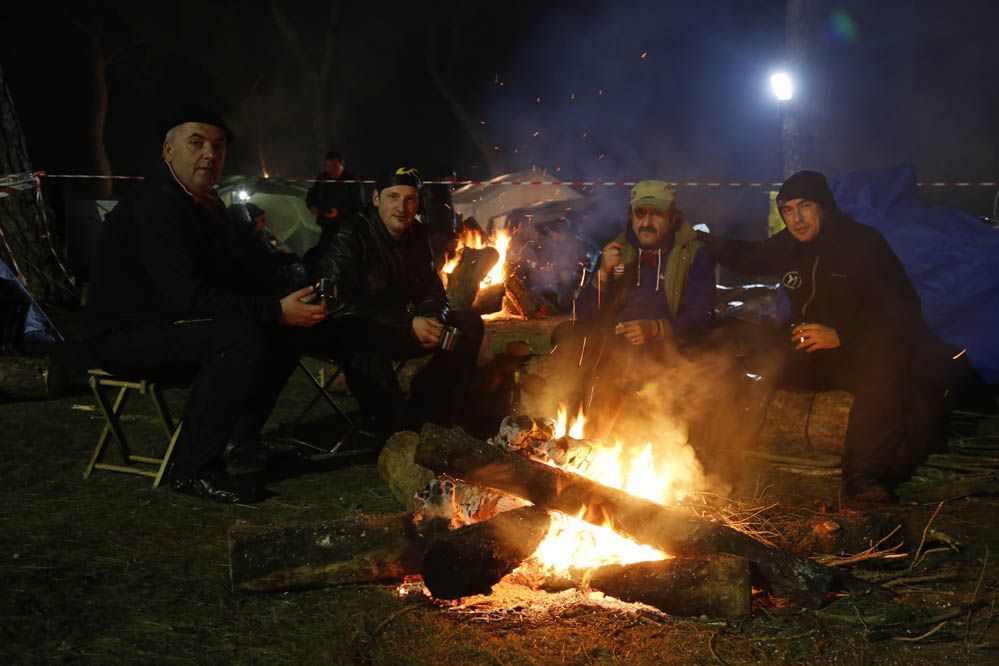 Pingüinos 2014. Galería de fotos
