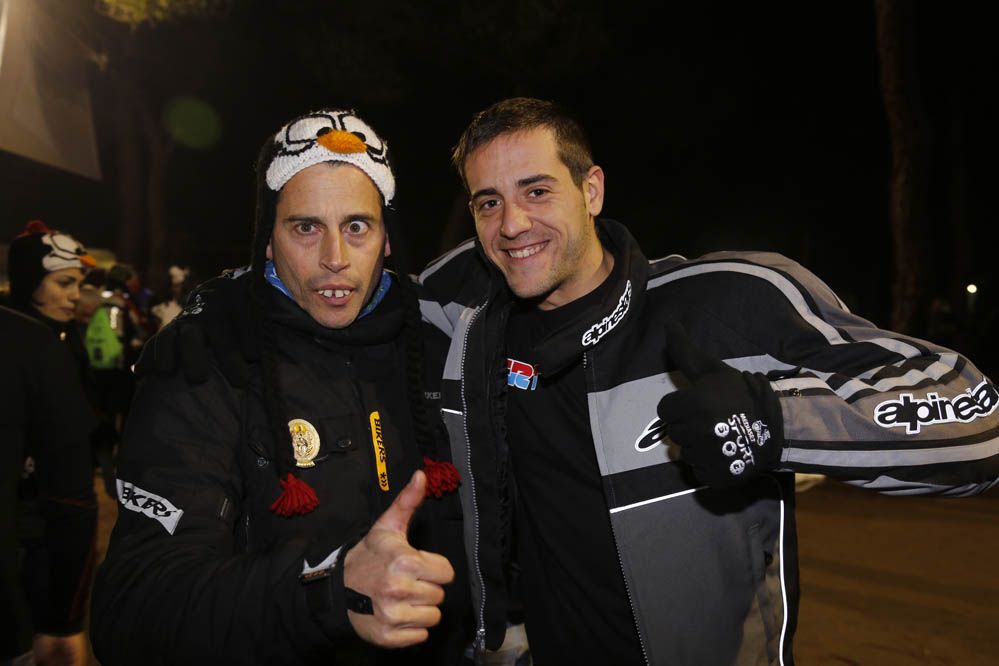 Pingüinos 2014. Galería de fotos