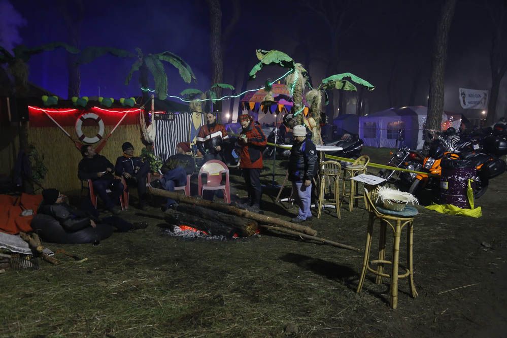 Pingüinos 2014. Galería de fotos