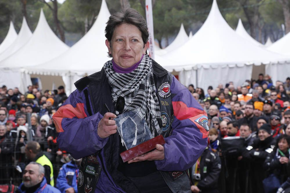 Pingüinos 2014. Galería de fotos