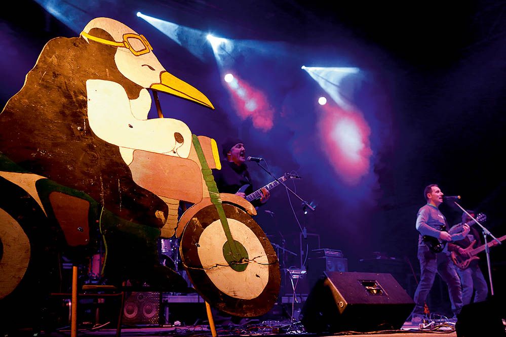 Pingüinos 2014. Galería de fotos