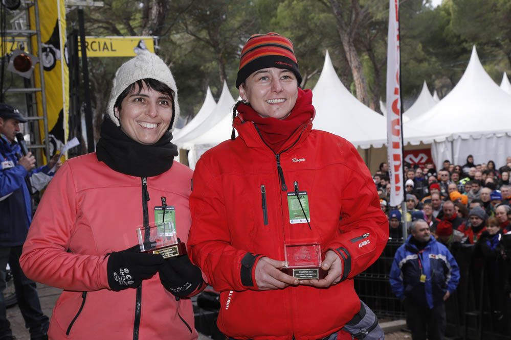 Pingüinos 2014. Galería de fotos