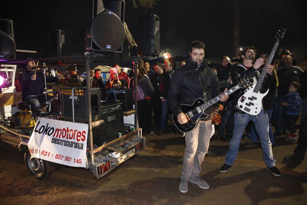 Pingüinos 2014. Galería de fotos