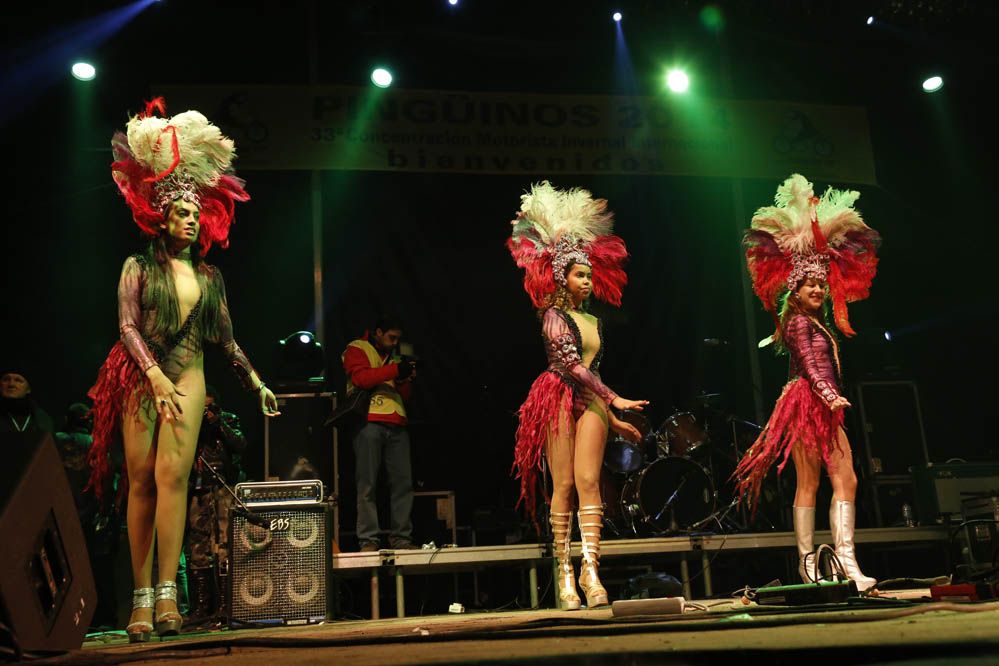 Pingüinos 2014. Galería de fotos